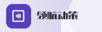 合作伙伴